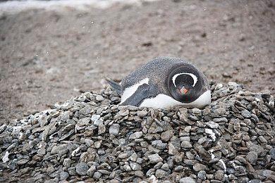 《毁灭战士：黑暗时代》全球各地解锁时间曝光