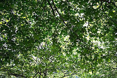 Steam新一周销量榜 SteamDeck再次登顶